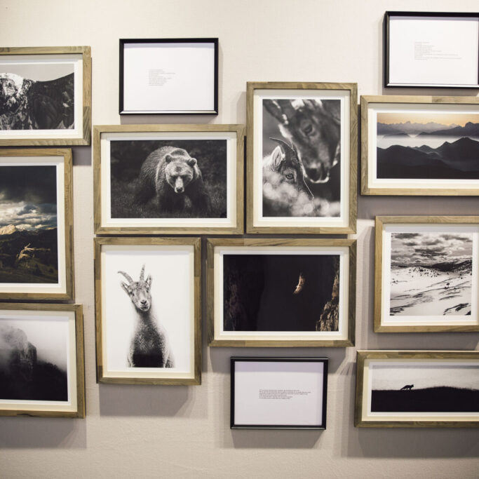 @Anthony Micallef @Anthony Micallef